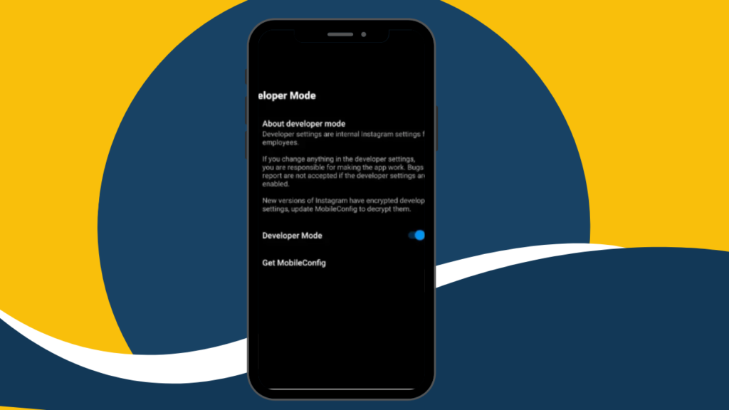 Developer Mode