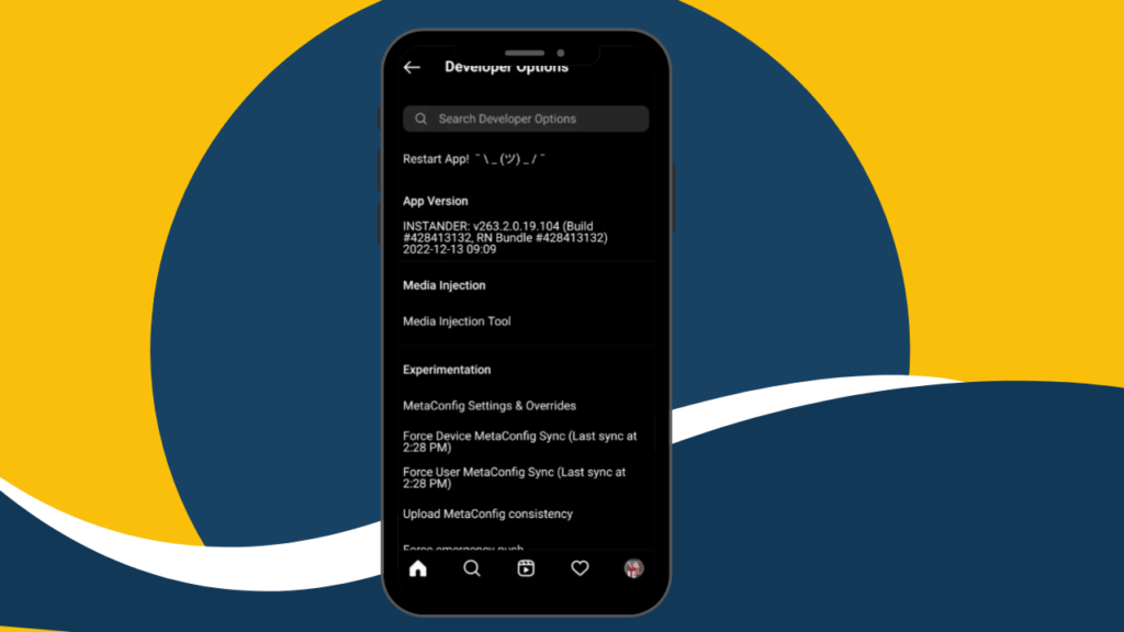 Developer Mode